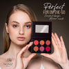 6 Color Powder Blush Palette Dubai UAE